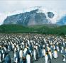 Antarctica with Penguins - Generic (NatGeo).JPG